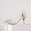 Windsor. Glitzy And Glamorous Glitter Mesh Pumps